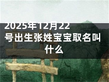 2025年12月22号出生张姓宝宝取名叫什么