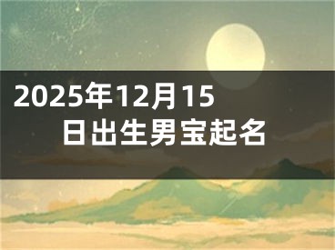 2025年12月15日出生男宝起名