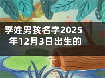 李姓男孩名字2025年12月3日出生的