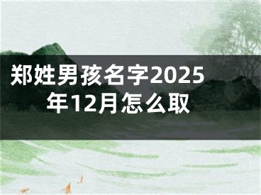 郑姓男孩名字2025年12月怎么取