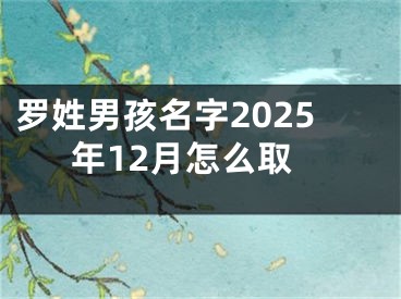 罗姓男孩名字2025年12月怎么取