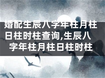 婚配生辰八字年柱月柱日柱时柱查询,生辰八字年柱月柱日柱时柱