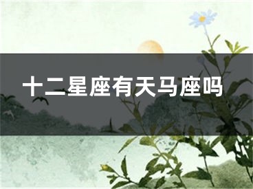 十二星座有天马座吗