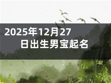 2025年12月27日出生男宝起名