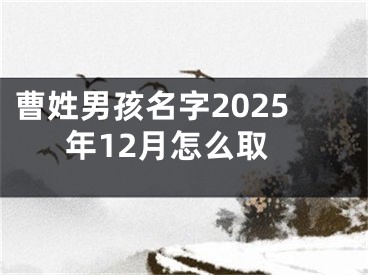 曹姓男孩名字2025年12月怎么取