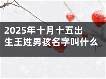 2025年十月十五出生王姓男孩名字叫什么