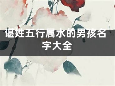 谌姓五行属水的男孩名字大全