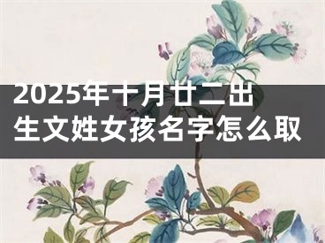 2025年十月廿二出生文姓女孩名字怎么取