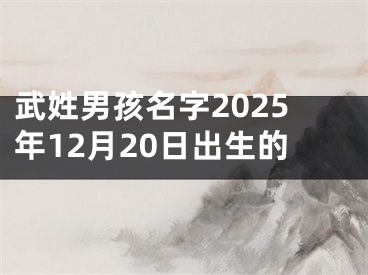 武姓男孩名字2025年12月20日出生的