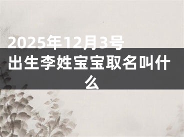 2025年12月3号出生李姓宝宝取名叫什么