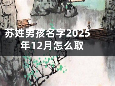 苏姓男孩名字2025年12月怎么取