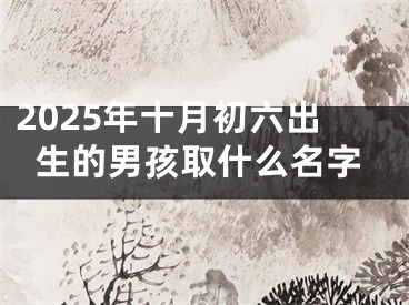 2025年十月初六出生的男孩取什么名字