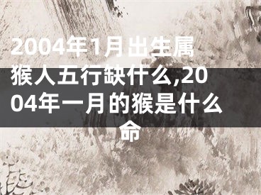 2004年1月出生属猴人五行缺什么,2004年一月的猴是什么命