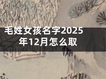毛姓女孩名字2025年12月怎么取