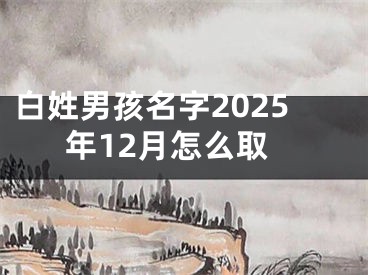 白姓男孩名字2025年12月怎么取