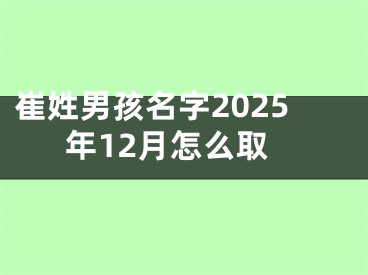 崔姓男孩名字2025年12月怎么取