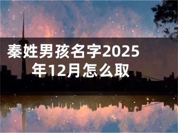 秦姓男孩名字2025年12月怎么取