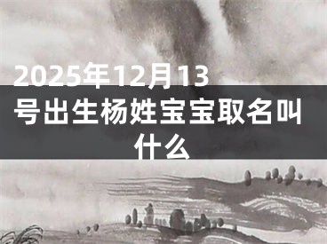 2025年12月13号出生杨姓宝宝取名叫什么