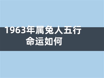 1963年属兔人五行 命运如何 