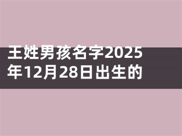 王姓男孩名字2025年12月28日出生的