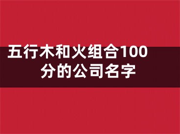 五行木和火组合100分的公司名字