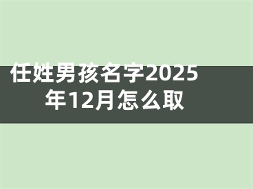 任姓男孩名字2025年12月怎么取