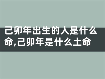 己卯年出生的人是什么命,己卯年是什么土命
