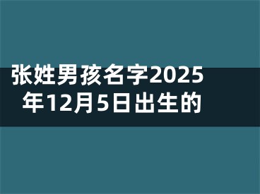 张姓男孩名字2025年12月5日出生的