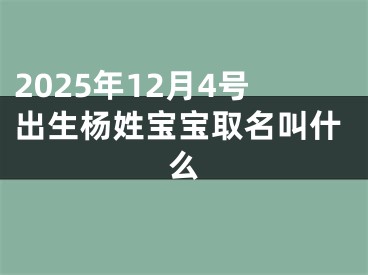 2025年12月4号出生杨姓宝宝取名叫什么