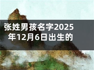 张姓男孩名字2025年12月6日出生的