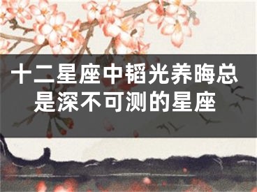 十二星座中韬光养晦总是深不可测的星座