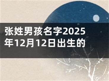 张姓男孩名字2025年12月12日出生的