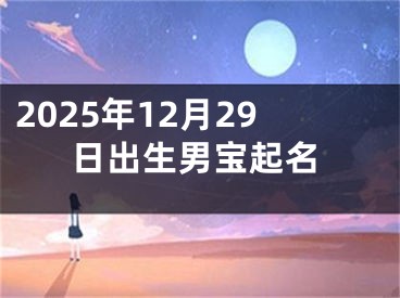 2025年12月29日出生男宝起名