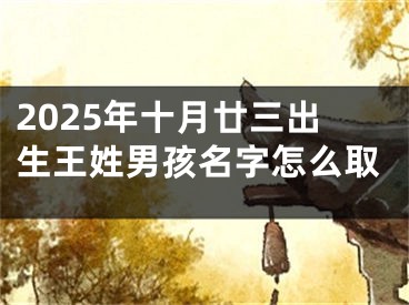 2025年十月廿三出生王姓男孩名字怎么取