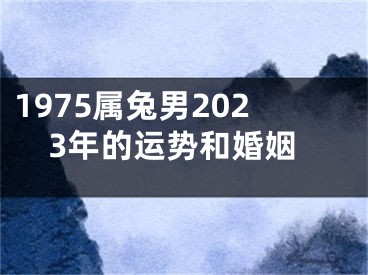 1975属兔男2023年的运势和婚姻