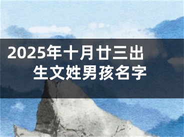 2025年十月廿三出生文姓男孩名字
