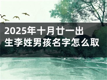 2025年十月廿一出生李姓男孩名字怎么取