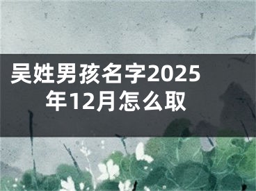吴姓男孩名字2025年12月怎么取