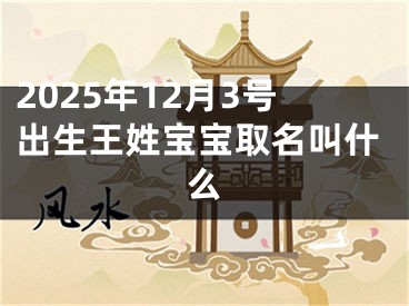 2025年12月3号出生王姓宝宝取名叫什么
