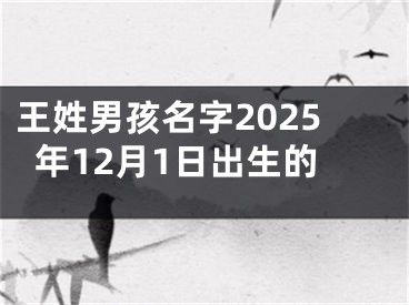 王姓男孩名字2025年12月1日出生的
