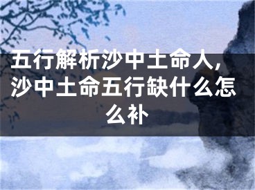 五行解析沙中土命人,沙中土命五行缺什么怎么补