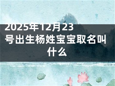 2025年12月23号出生杨姓宝宝取名叫什么