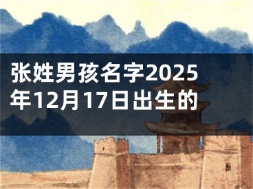 张姓男孩名字2025年12月17日出生的