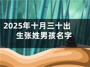 2025年十月三十出生张姓男孩名字