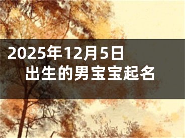 2025年12月5日出生的男宝宝起名