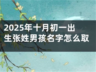 2025年十月初一出生张姓男孩名字怎么取