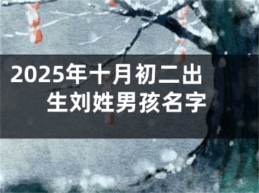 2025年十月初二出生刘姓男孩名字