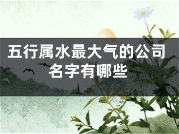 五行属水最大气的公司名字有哪些