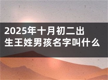 2025年十月初二出生王姓男孩名字叫什么