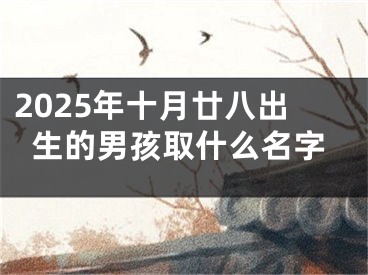 2025年十月廿八出生的男孩取什么名字